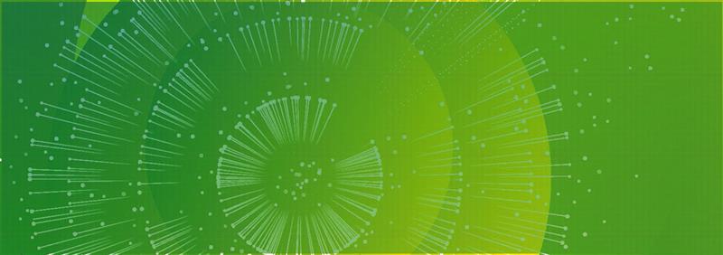 Happiest Minds' Integrated Annual Report 2025