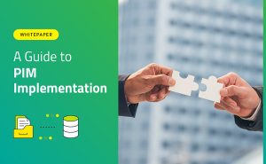 PIM-Implementation-Guide