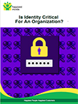 IS IDENTITY CRITICAL FOR AN ORGANIZATION