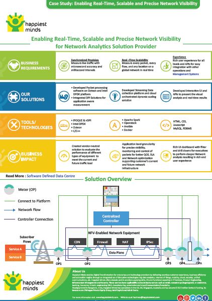 Enabling Real-Time Scalable and Precise Network Visibility