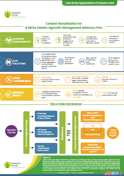 Content Monetization for A Niche Vendor-Agnostic Management Advisory Firm