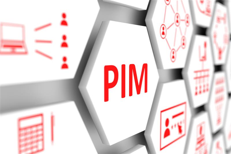 PIM Integration: Maximize Results with Business-Driven Integration Pattern